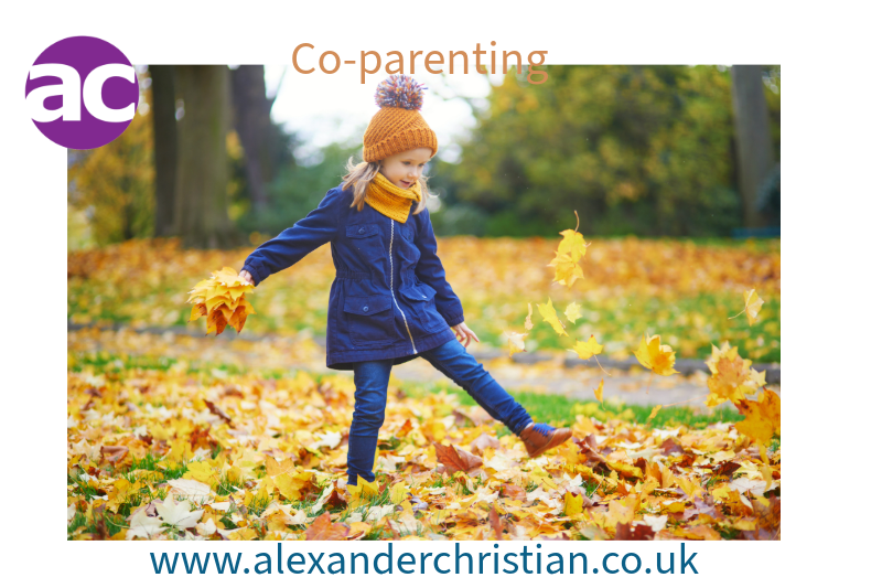 Top 5 Co-Parenting Challenges in November